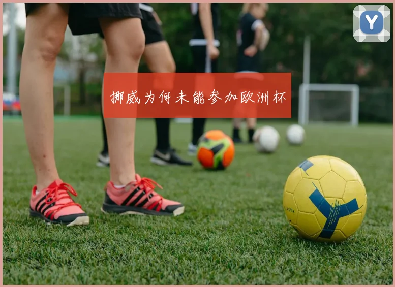 挪威为何未能参加欧洲杯