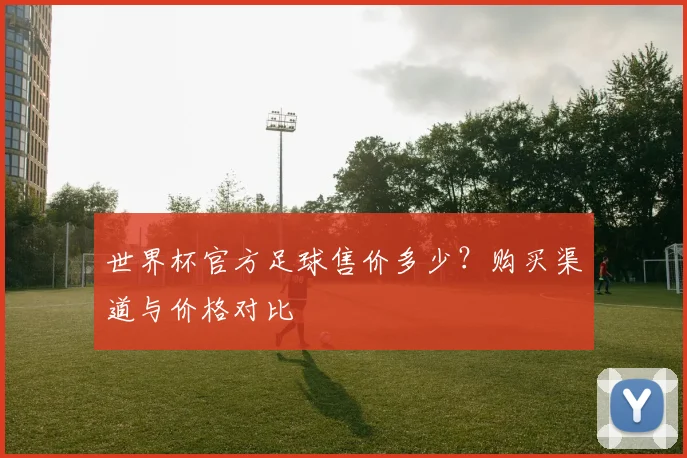 世界杯官方足球售价多少？购买渠道与价格对比